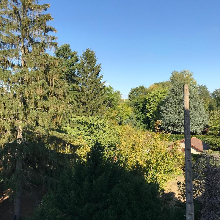 Hotel Weiss Wissembourg Luaran gambar
